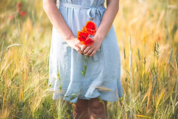 Woman Holding Poppy Flower While Standing Agricultural Field — Stock Photo, Image