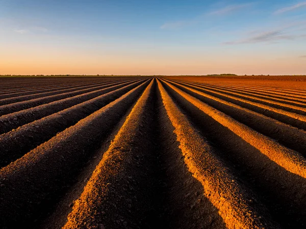 Champ Labouré Contre Ciel Coucher Soleil — Photo