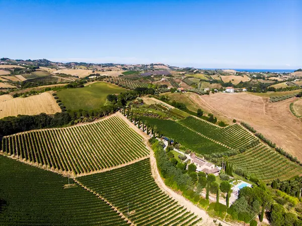 イタリア マルケ州 夏の緑の田園風景の空中ビュー — ストック写真