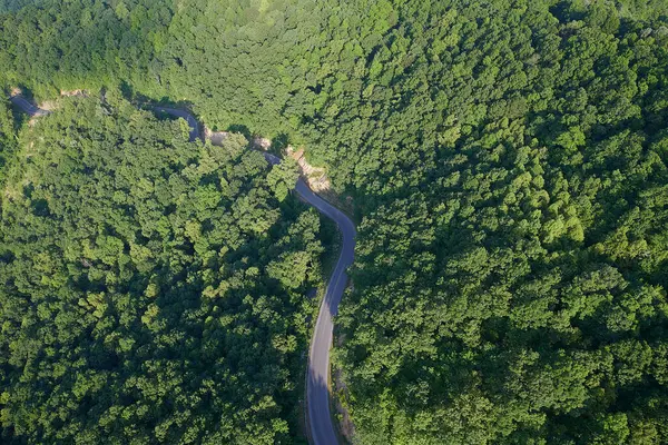 Veduta Aerea Dell Autostrada Che Estende Attraverso Foresta Verde Degli — Foto Stock