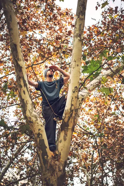 Низкий Угол Обзора Молодого Человека Смотрящего Сторону Стоя Стволе Дерева — стоковое фото