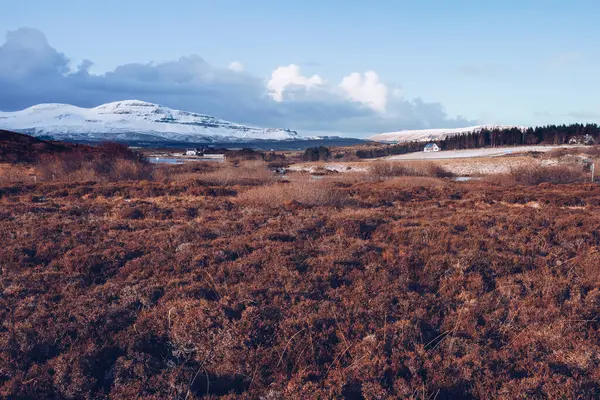 Schotland Bruin Landschap Van Het Eiland Skye Winter — Stockfoto