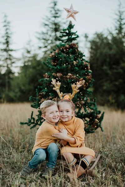 Gülümseyen Kardeşler Çimenli Topraklarda Noel Ağacının Yanında Otururken Kucaklaşıyorlar — Stok fotoğraf