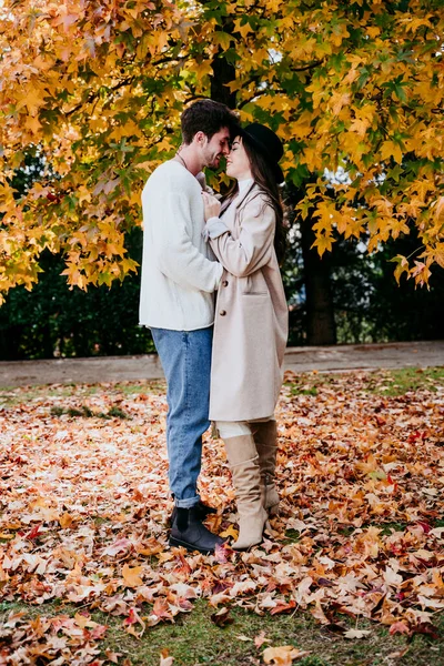 秋の間に木の前に立ちながら抱き合っている若いカップル — ストック写真