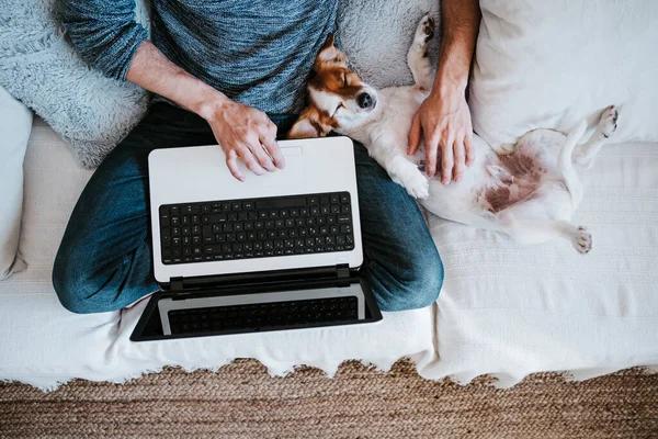 Человек Работает Ноутбуке Играя Собакой Сидя Диване Дома — стоковое фото