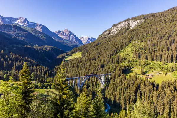 Landschappelijk Uitzicht Langwieser Viaduct Beboste Plessur Alpen Zomer — Stockfoto