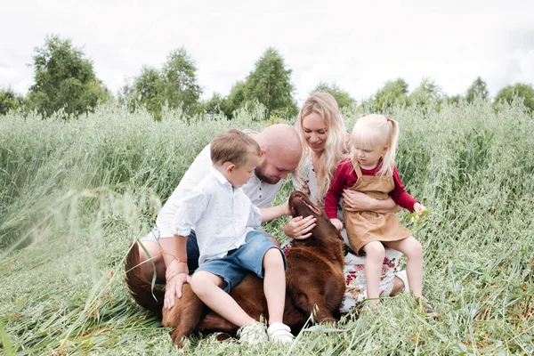 Family Playing Chocolate Labrador Oats Field — Stock Photo, Image