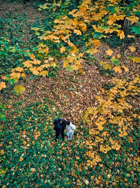 Vista Aérea Casal Adulto Beijando Parque Outono — Fotografia de Stock