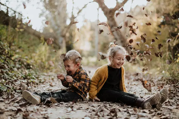 快乐的女孩和男孩坐在林子里的小径上 用干枯落叶玩耍 — 图库照片