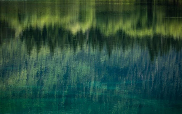 Wald Spiegelt Sich Der Oberfläche Des Sees Wider — Stockfoto