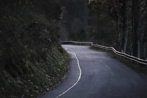 Ormanda Boş Asfalt Yol — Stok fotoğraf