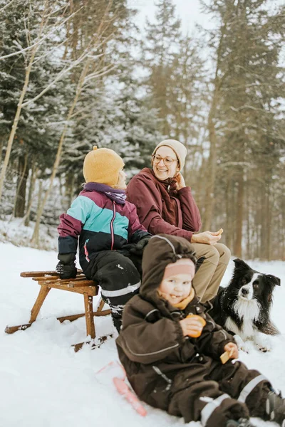 Smiling Mother Daughter Sitting While Spending Weekend Family Border Collie — Stock Photo, Image