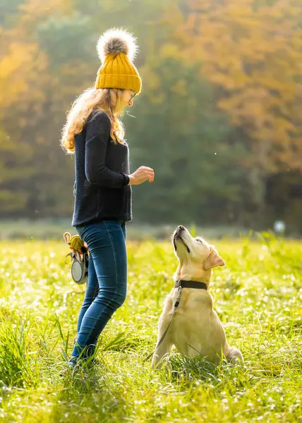 Junge Frau Steht Mit Labrador Retriever Park — Stockfoto