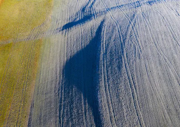 Drone View Frosted Field Winter — Stock Photo, Image