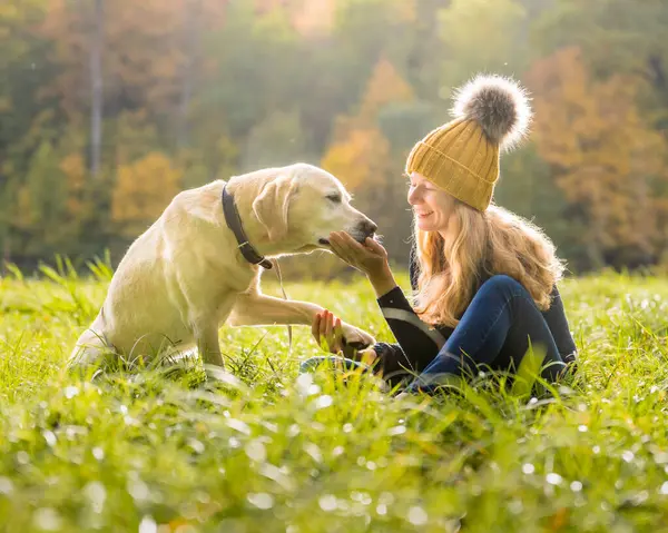 Donna Sorridente Che Gioca Con Cane Nel Parco Durante Stagione — Foto Stock