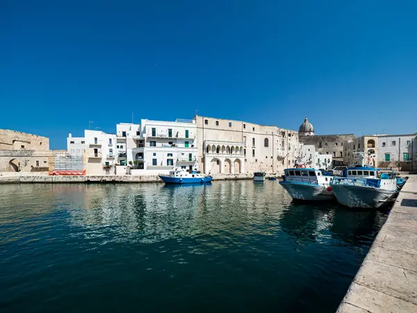 Hav Och Byggnader Mot Klarblå Himmel Solig Dag Monopoli Apulien — Stockfoto