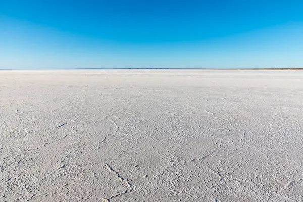 Australia Australia Meridional Lago Salado Área Del Lago Hart — Foto de Stock