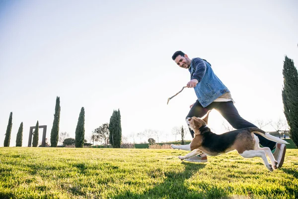 Hombre Mostrando Palo Perro Mientras Corre Sobre Hierba Durante Día —  Fotos de Stock