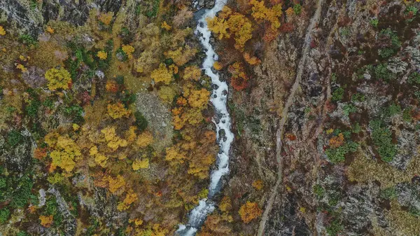 Aerial Panorama Splashing River Autumn — Stock Photo, Image