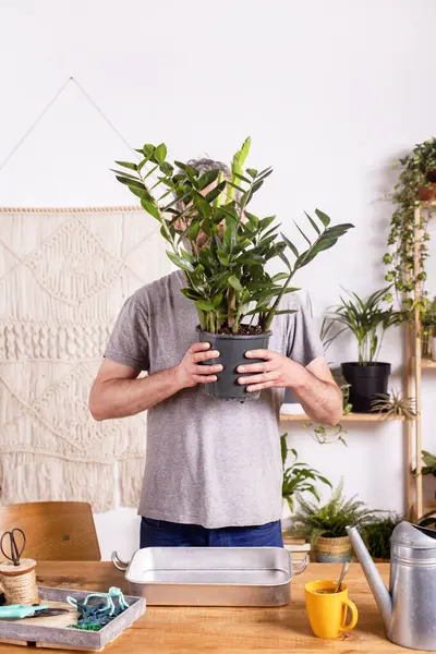 Homem Segurando Zamioculcas Zamiifolia Planta Vaso Flores Enquanto Mesa Casa — Fotografia de Stock