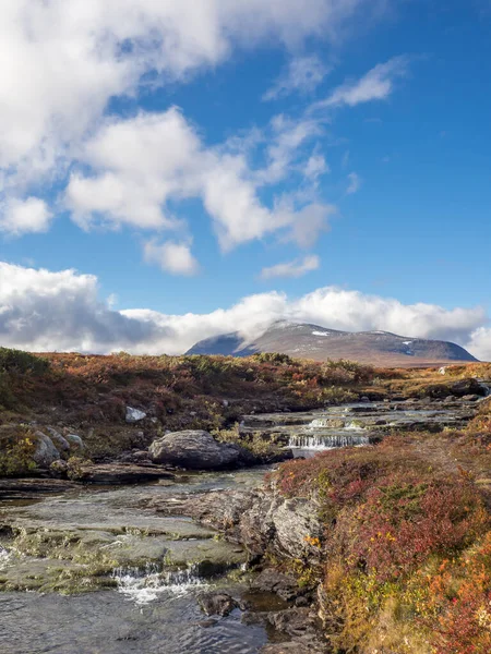 Stream Flowing Amidst Field Mountain Sunny Day Jamtland Sweden — 图库照片