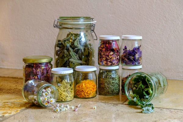 Guci Dengan Berbagai Tanaman Herbal Kering Dan Bunga Yang Dapat — Stok Foto