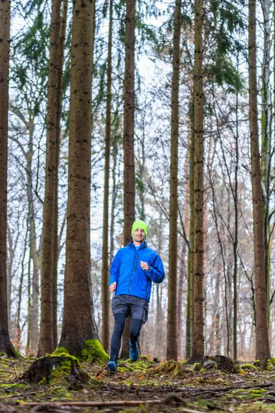 森の針葉樹林の中をジョギングする男 — ストック写真