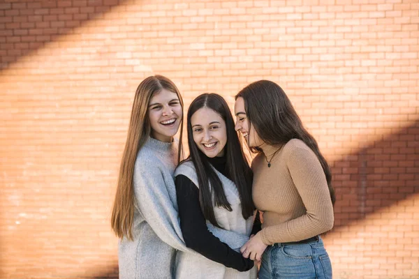 Alegres Amigos Sexo Feminino Contra Parede Tijolo Cidade — Fotografia de Stock