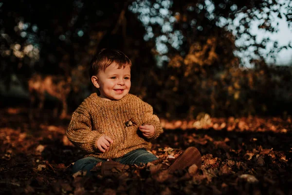 Carino Sorridente Bambino Seduto Nella Foresta Durante Tramonto — Foto Stock