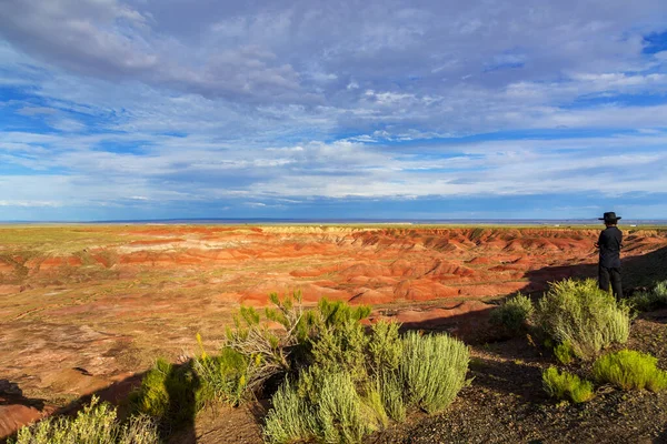 Turista Macho Maduro Parado Contra Cielo Azul Nublado Petrified Forest — Foto de Stock