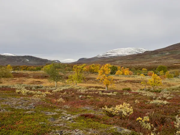 Herfst Land Tegen Besneeuwde Bergen Jamtland Zweden — Stockfoto