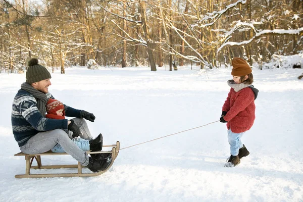 Son Pulling Father Younger Brother Sitting Sled Winter — Stock Photo, Image