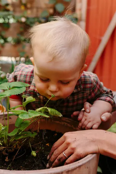 Menino Criança Cheirando Folha Planta Jardim Quintal — Fotografia de Stock
