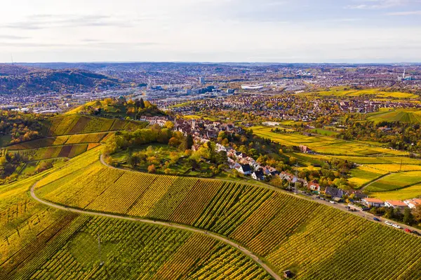 Deutschland Baden Württemberg Stuttgart Luftaufnahme Der Weinberge Vor Den Toren — Stockfoto