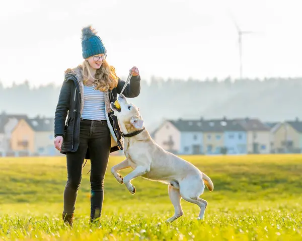 Cheerful Woman Playing Pet Dog Outdoors — Stock Photo, Image