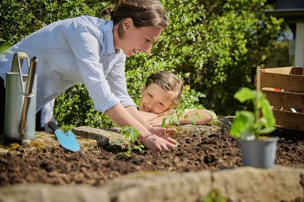 Mother Son Planting Garden Back Yard — Stock Photo, Image