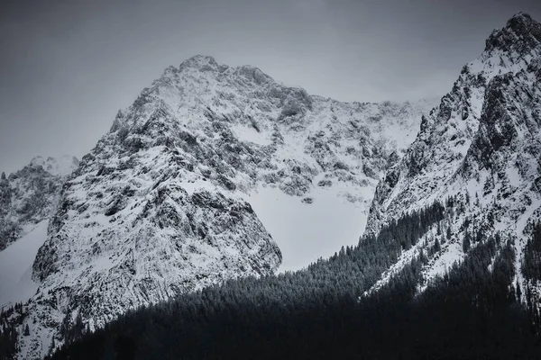 Snowcapped Valley Karwendel Range — Stock Photo, Image