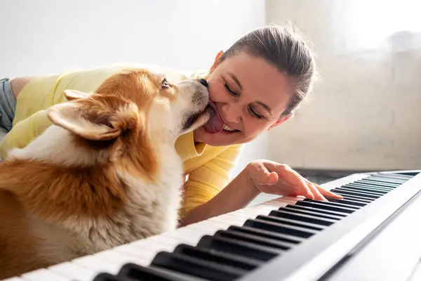 Собака Облизывает Улыбающуюся Женщину Практикующую Дома Фортепиано — стоковое фото