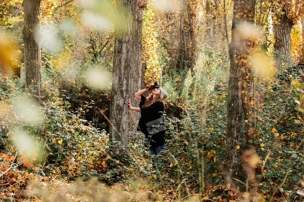 Woman Photographing Forest Autumn — Stock Photo, Image