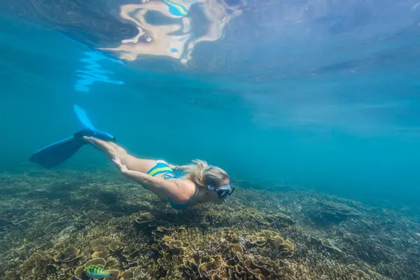 Подводный Вид Дайвинг Яванском Море — стоковое фото