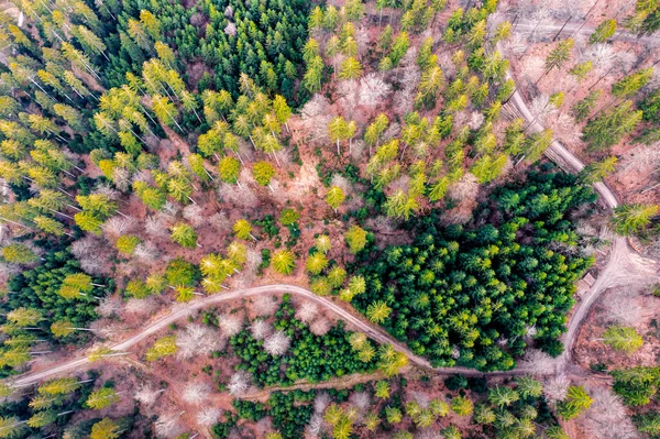 Alemanha Baden Wurttemberg Vista Aérea Floresta Suábia Primavera — Fotografia de Stock