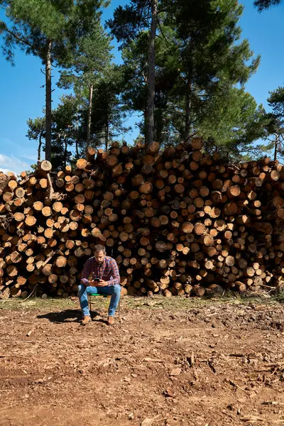 Lumberjack Sitting Front Tree Trunks Using Smart Phone Lumber Industry — Stock Photo, Image