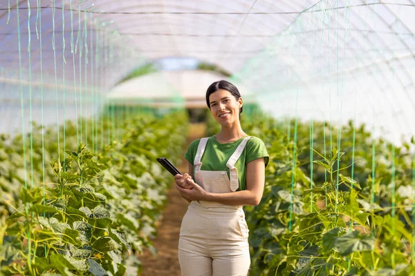 Agricultora Confiada Sosteniendo Tableta Digital Mientras Está Pie Invernadero —  Fotos de Stock