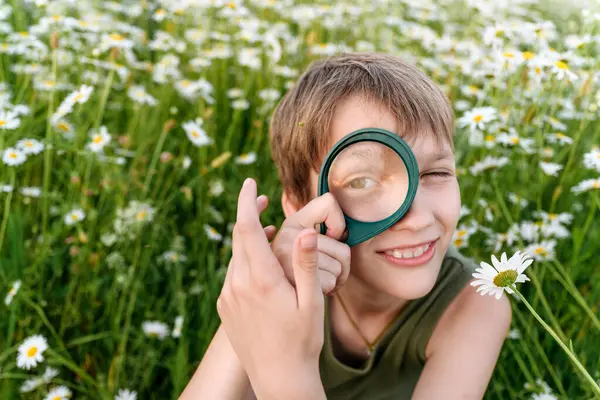 Smiling Boy Playing Magnifying Glass Chamomile Field — Stock Photo, Image