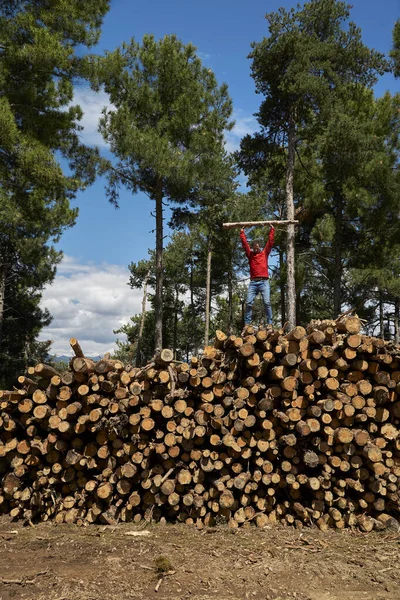 Homem Adulto Médio Segurando Log Enquanto Equilibra Troncos Árvores Floresta — Fotografia de Stock