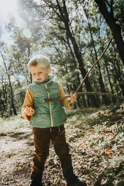 晴れた日に森の中に立ちながら棒を握る少年 — ストック写真