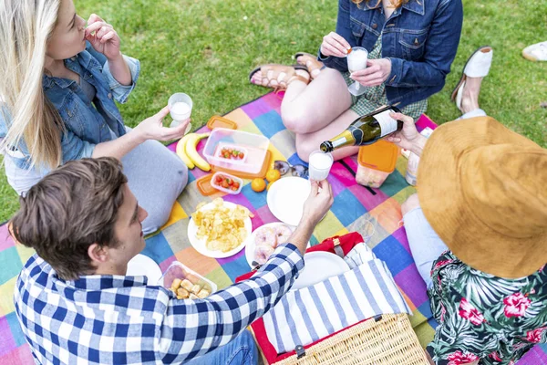 Amis Masculins Féminins Mangeant Buvant Pendant Pique Nique Parc — Photo