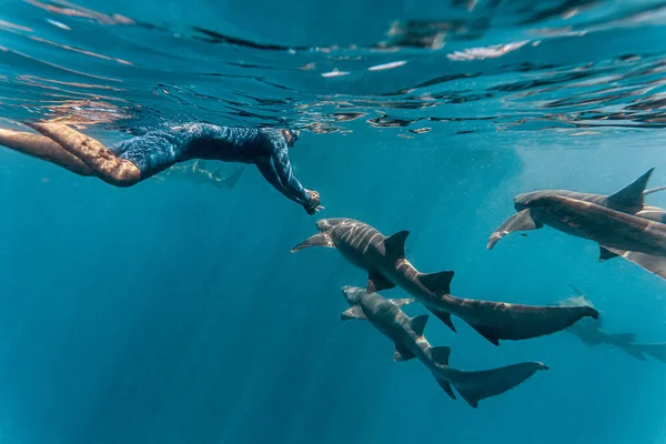 Jovem Nadando Com Tubarões Enfermeiros Mar — Fotografia de Stock