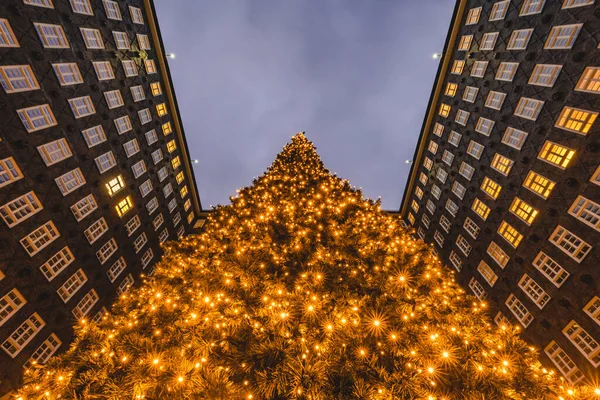 Alemanha Hamburgo Árvore Natal Iluminada Contra Sprinkenhof Kontorhausviertel — Fotografia de Stock