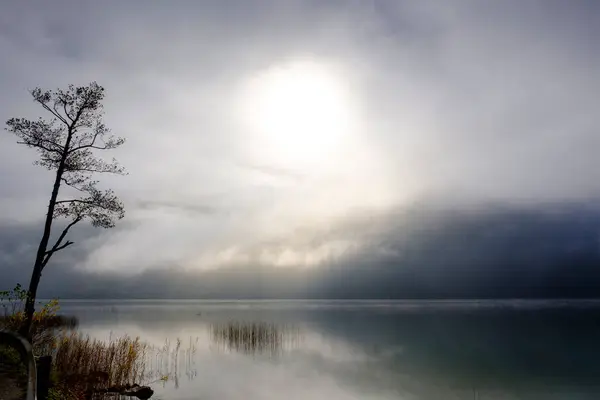 Австрия Верхняя Австрия Зальцкаммергут Озеро Мондзе Осенним Туманом Восходе Солнца — стоковое фото